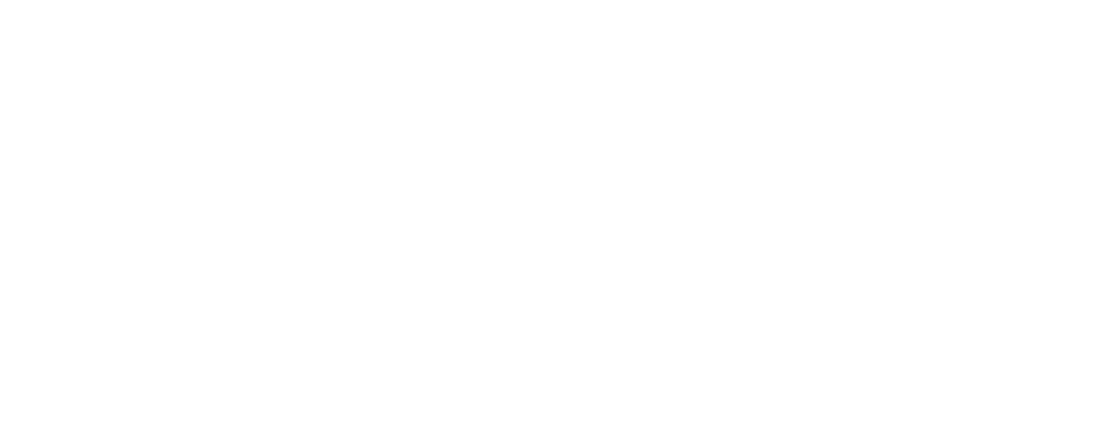 Google Partner